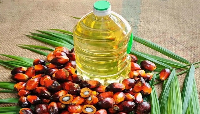 পাম অয়েল কতটা স্বাস্থ্যকর