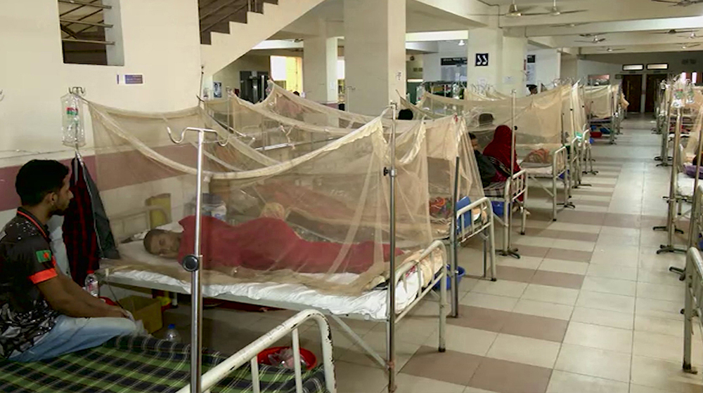 ডেঙ্গুতে ৪ জনের মৃত্যু, হাসপাতালে ২৪৭ ডেঙ্গুতে ৪ জনের মৃত্যু, হাসপাতালে ২৪৭