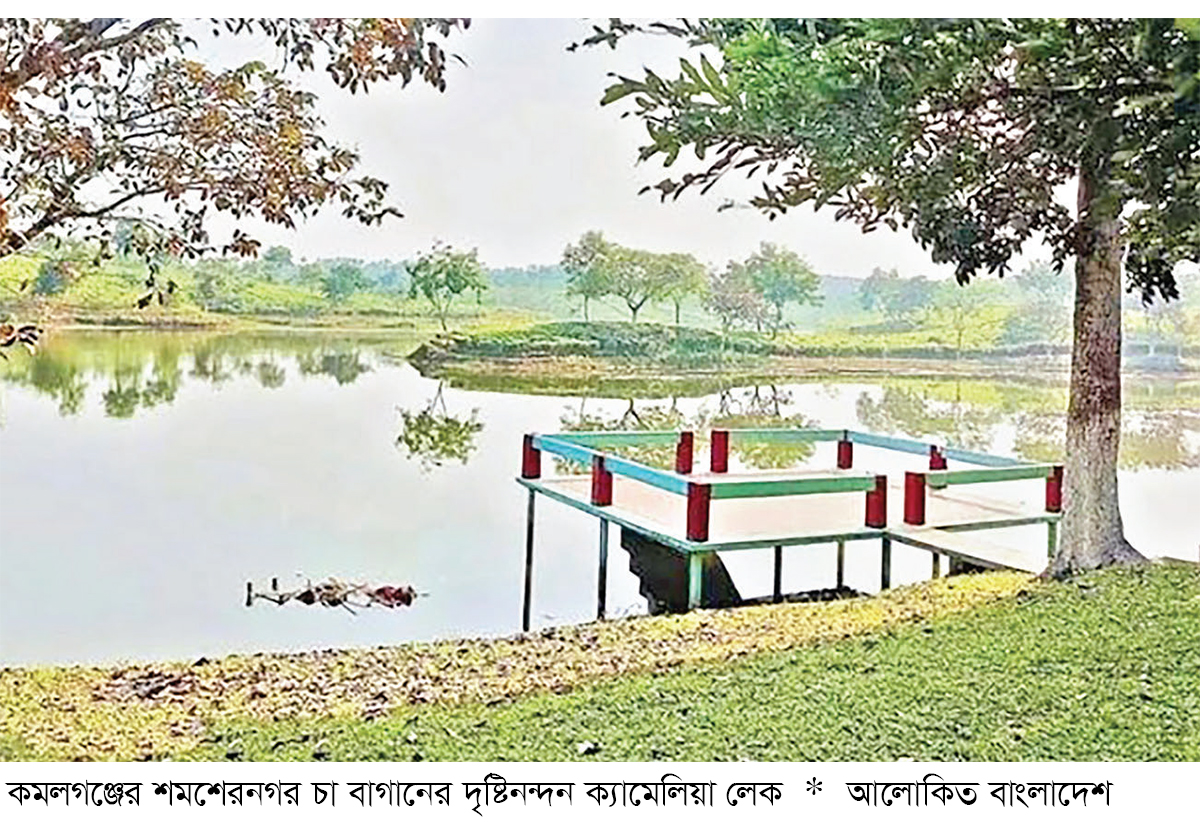 পর্যটকদের নতুন আকর্ষণ ‘ক্যামেলিয়া’ লেক পর্যটকদের নতুন আকর্ষণ ‘ক্যামেলিয়া’ লেক