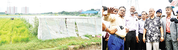 সরকারিভাবে আলু ক্রয় করা হবে : কৃষি উপদেষ্টা সরকারিভাবে আলু ক্রয় করা হবে : কৃষি উপদেষ্টা