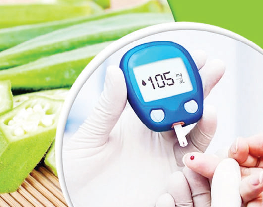 ডায়াবেটিস নিয়ন্ত্রণে ঢ্যাঁড়শ ডায়াবেটিস নিয়ন্ত্রণে ঢ্যাঁড়শ