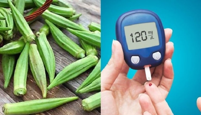 ডায়াবেটিস নিয়ন্ত্রণে ঢ্যাঁড়শ ডায়াবেটিস নিয়ন্ত্রণে ঢ্যাঁড়শ