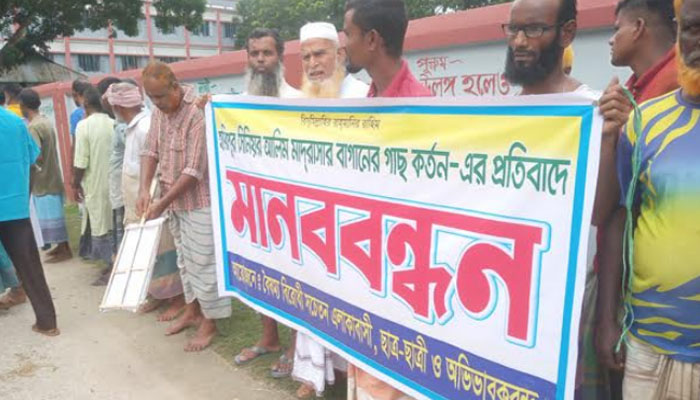 পীরগঞ্জের হরিপুর মাদ্রাসায় গাছ বিক্রির নিলাম স্থগিত