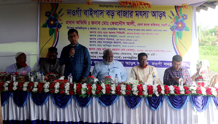 নওগাঁ শহরের বাইপাস নতুন মাছের আড়তের যাত্রা শুরু নওগাঁ শহরের বাইপাস নতুন মাছের আড়তের যাত্রা শুরু