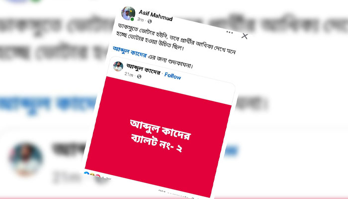 ভিপি প্রার্থীর জন্য ‘শুভকামনা’ জানিয়ে উপদেষ্টার পোস্ট, বিতর্কে ডিলিট