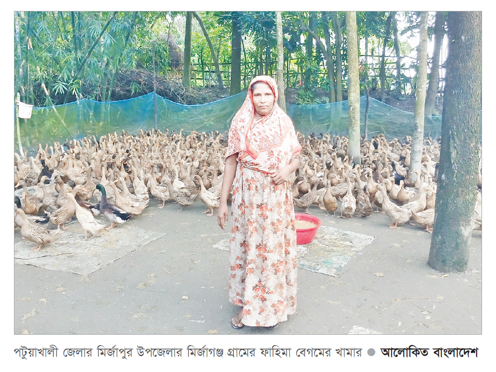 মির্জাগঞ্জে হাঁসের খামার করে নারী উদ্যোক্তা স্বাবলম্বী মির্জাগঞ্জে হাঁসের খামার করে নারী উদ্যোক্তা স্বাবলম্বী