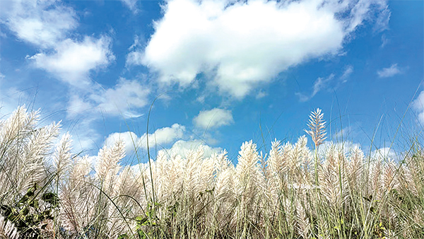 অপরূপা শরতের নির্মলতা অপরূপা শরতের নির্মলতা