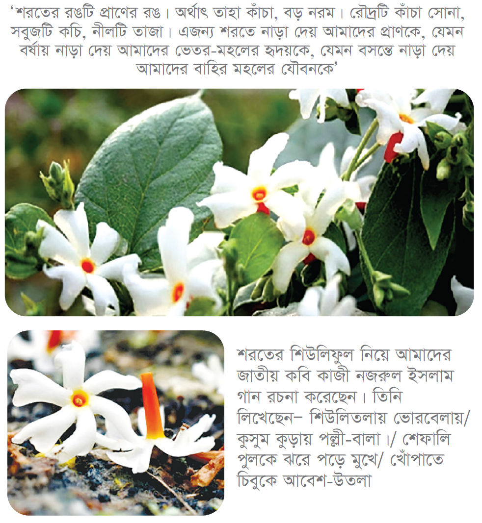 শরতের রূপ শরতের রূপ