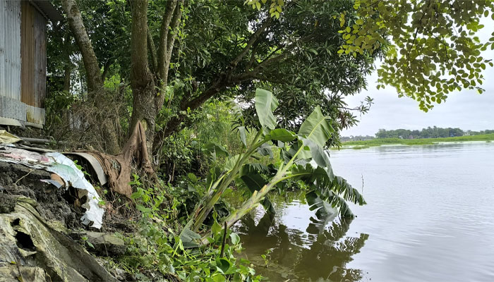 তাড়াইলে নরসুন্দা নদীতে তলিয়ে যাচ্ছে মানুষের স্বপ্ন তাড়াইলে নরসুন্দা নদীতে তলিয়ে যাচ্ছে মানুষের স্বপ্ন
