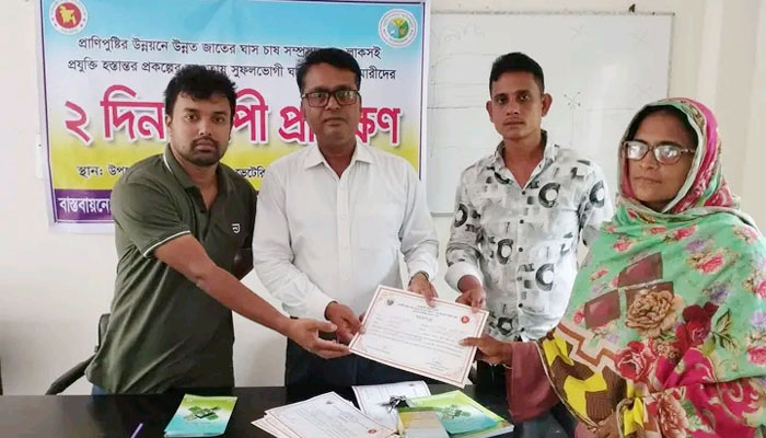 ঘাস চাষে খামারীদের উদ্বুদ্ধ করতে প্রশিক্ষণ কর্মশালা ঘাস চাষে খামারীদের উদ্বুদ্ধ করতে প্রশিক্ষণ কর্মশালা