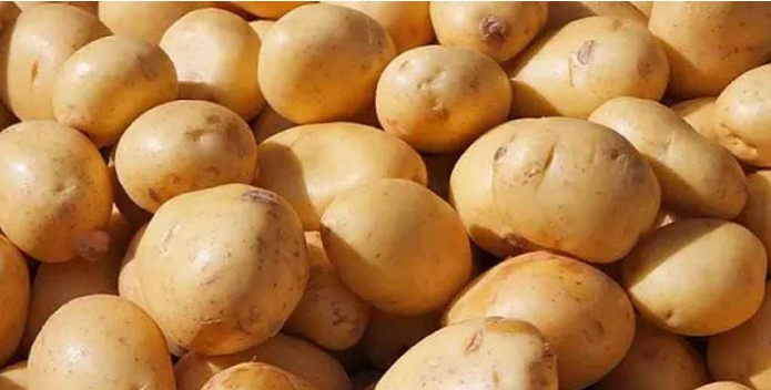 আলুর সর্বনিম্ন দাম বেঁধে দিলো সরকার আলুর সর্বনিম্ন দাম বেঁধে দিলো সরকার