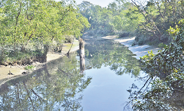 দূষিত হালদা