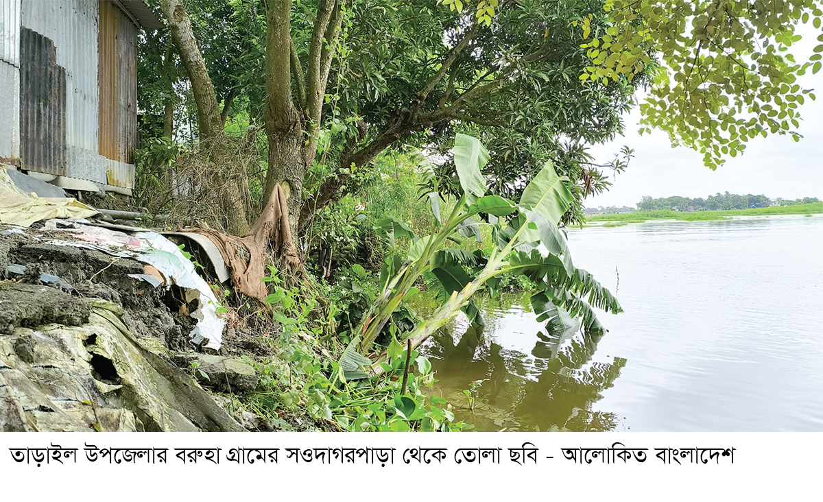 তাড়াইলে নরসুন্দা গিলে খাচ্ছে বসতবাড়ি-ফসলি জমি তাড়াইলে নরসুন্দা গিলে খাচ্ছে বসতবাড়ি-ফসলি জমি
