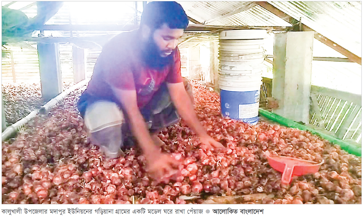 মডেল ঘরে তিন মাসেই পচে যাচ্ছে পেঁয়াজ মডেল ঘরে তিন মাসেই পচে যাচ্ছে পেঁয়াজ