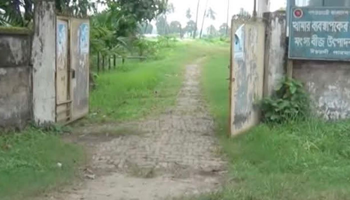 ঈশ্বরদীতে ব্যাহত হচ্ছে আধুনিক ও নিরাপদ মাছ চাষ ঈশ্বরদীতে ব্যাহত হচ্ছে আধুনিক ও নিরাপদ মাছ চাষ