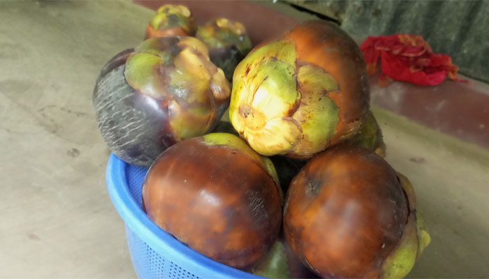 তালের পিঠা গ্রামবাংলার মানুষের কাছে খুবই জনপ্রিয় তালের পিঠা গ্রামবাংলার মানুষের কাছে খুবই জনপ্রিয়