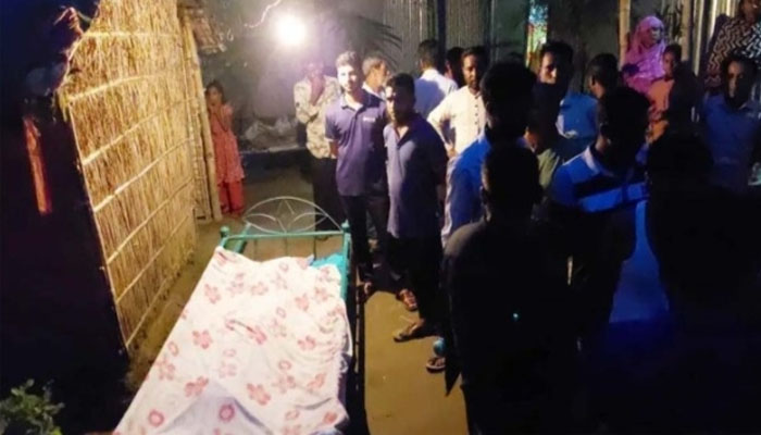 শেরপুরে বিলে শাপলা তুলতে গিয়ে ২ শিশুর মৃত্যু