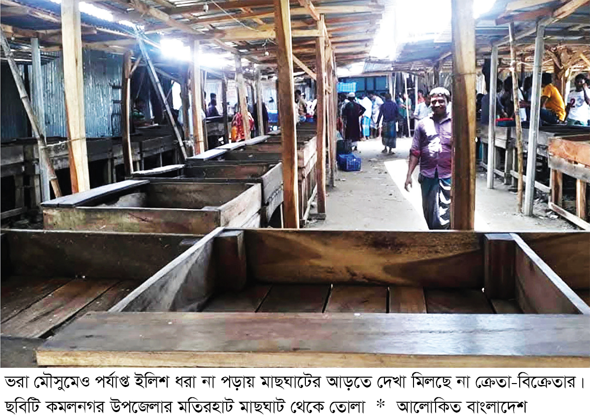 মেঘনায় জেলেদের জালে ধরা পড়ছে না আশানুরূপ ইলিশ মেঘনায় জেলেদের জালে ধরা পড়ছে না আশানুরূপ ইলিশ