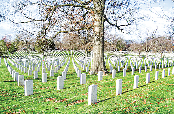 কবরস্থান ব্যবস্থাপনায় নির্দেশনা কবরস্থান ব্যবস্থাপনায় নির্দেশনা