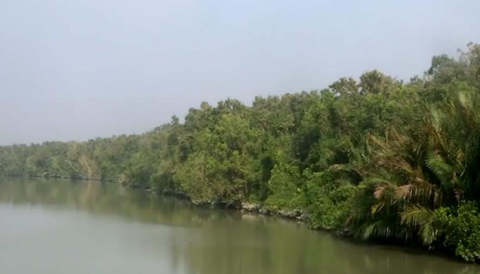 ৩ মাস পর উন্মুক্ত হচ্ছে সুন্দরবন ৩ মাস পর উন্মুক্ত হচ্ছে সুন্দরবন