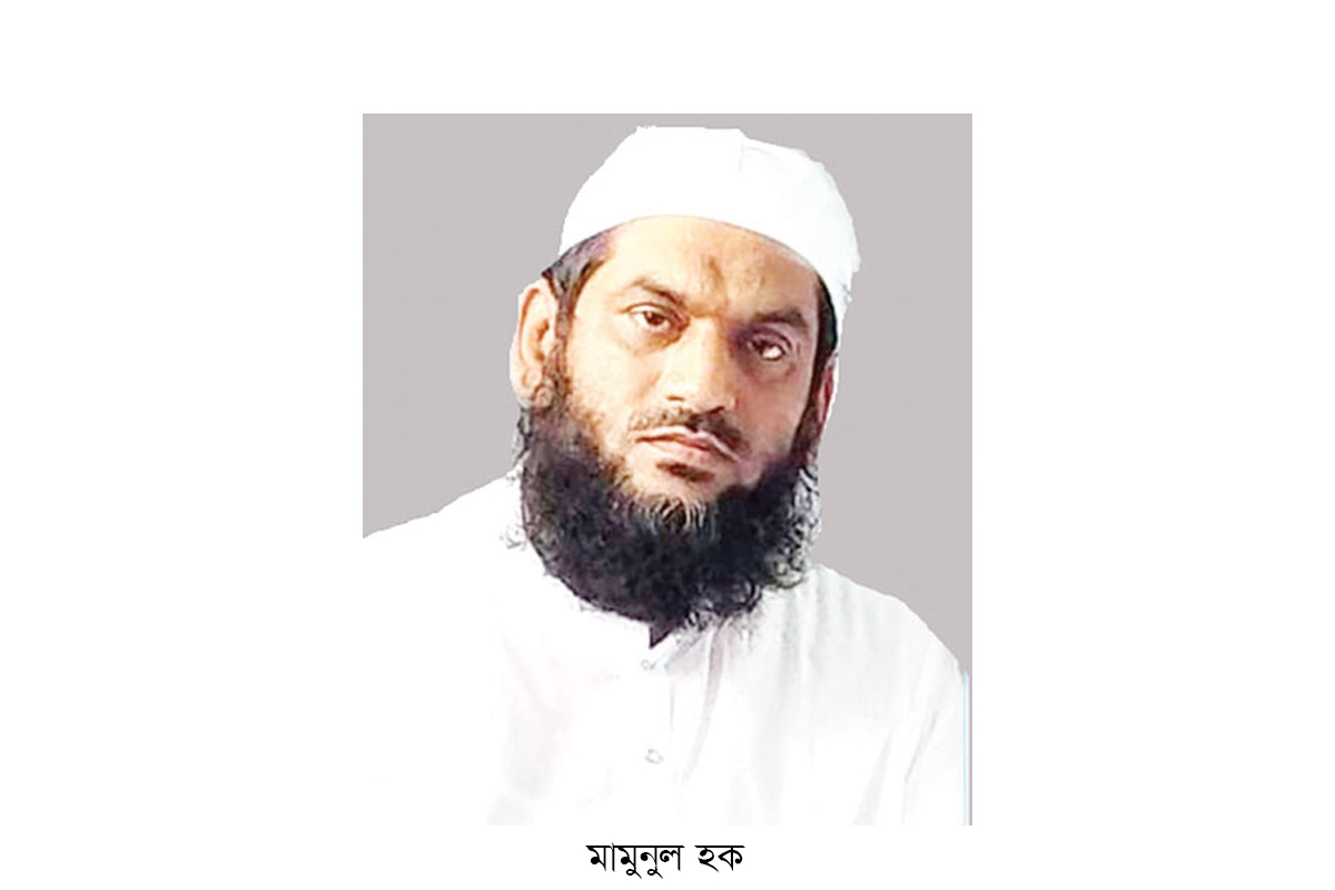 ‘শাপলার চেতনা আগামী বাংলাদেশের মাইলফলক’ ‘শাপলার চেতনা আগামী বাংলাদেশের মাইলফলক’