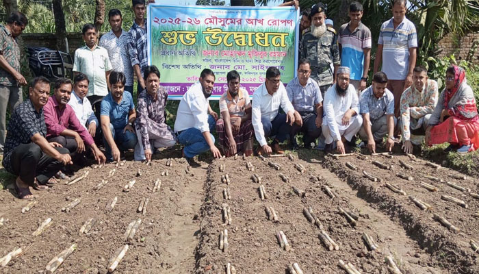 ফরিদপুর চিনিকলে ২০২৫-২০২৬ রোপন মৌসুমের উদ্বোধন ফরিদপুর চিনিকলে ২০২৫-২০২৬ রোপন মৌসুমের উদ্বোধন