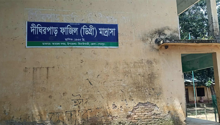 ঝিনাইগাতীতে মাদরাসায় সরকারি বই বিক্রির অভিযোগ, শিক্ষার্থীদের ক্ষোভ