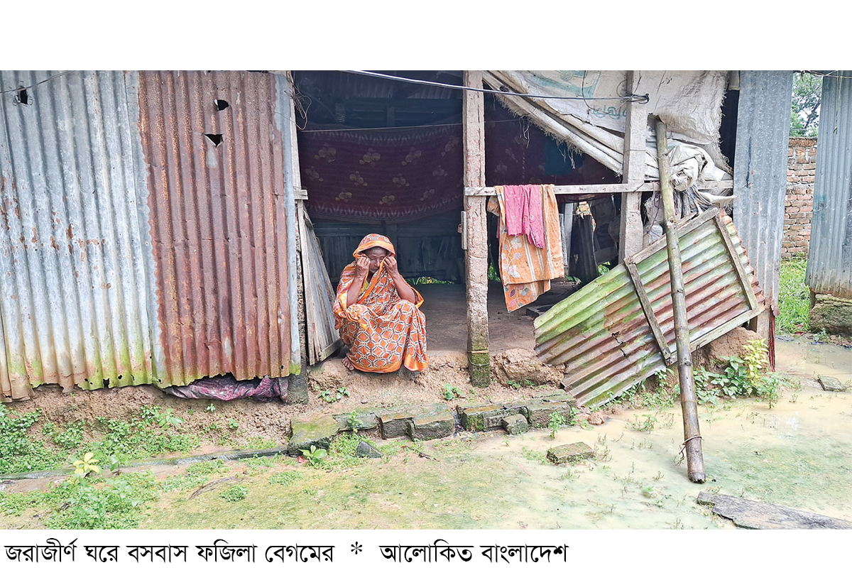 একটি ঘরের জন্য বৃদ্ধা ফজিলা বেগমের আকুতি একটি ঘরের জন্য বৃদ্ধা ফজিলা বেগমের আকুতি