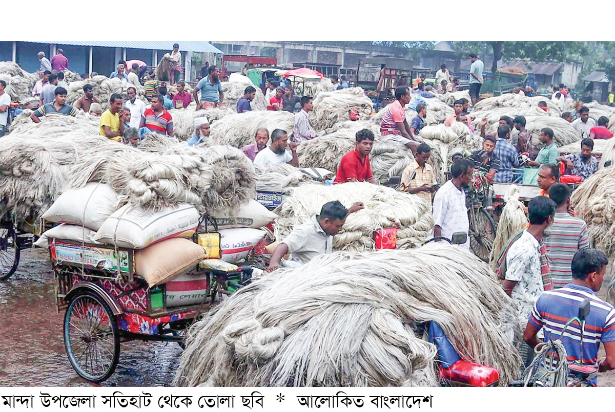 নওগাঁয় ৩৬০০ টাকা মণে বিক্রি হচ্ছে পাট নওগাঁয় ৩৬০০ টাকা মণে বিক্রি হচ্ছে পাট
