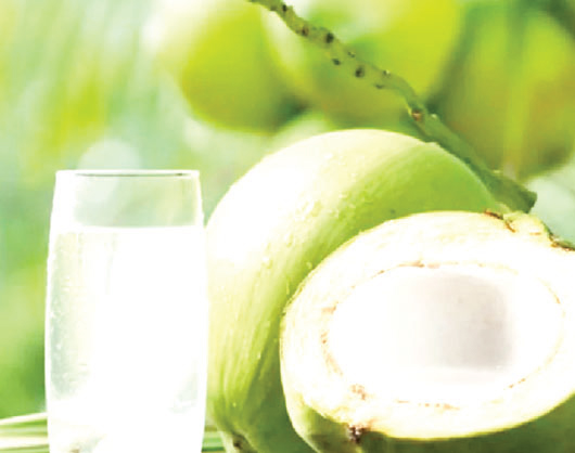 গরমে আরাম দেবে ডাব