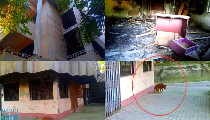 মুন্সীগঞ্জের সাবেক এমপির বাড়ি এখন কুকুর, বিড়ালের আস্তানা মুন্সীগঞ্জের সাবেক এমপির বাড়ি এখন কুকুর, বিড়ালের আস্তানা