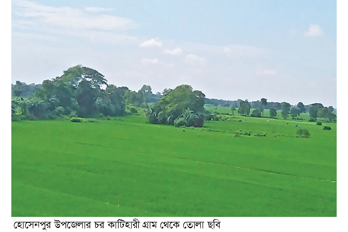 হোসেনপুরে সবুজে ছেয়ে গেছে ফসলের মাঠ হোসেনপুরে সবুজে ছেয়ে গেছে ফসলের মাঠ