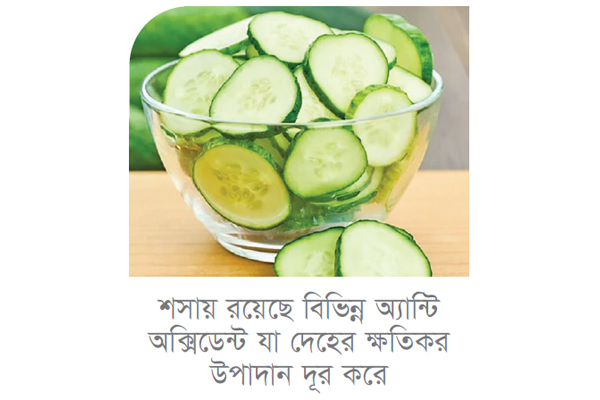 শসা ভেজানো পানির বিস্ময়কর স্বাস্থ্যগুণ শসা ভেজানো পানির বিস্ময়কর স্বাস্থ্যগুণ