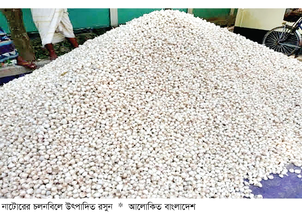 চলনবিলের রসুনকে জিআই স্বীকৃতির দাবি চলনবিলের রসুনকে জিআই স্বীকৃতির দাবি