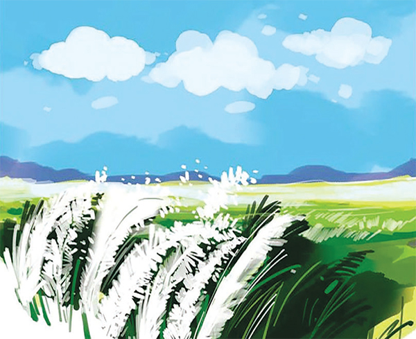 শরৎ শুভ্রতার প্রতীক শরৎ শুভ্রতার প্রতীক