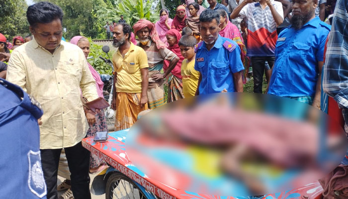 বোয়ালমারীতে গাছ চাপায় শ্রমিকের মৃত্যু বোয়ালমারীতে গাছ চাপায় শ্রমিকের মৃত্যু