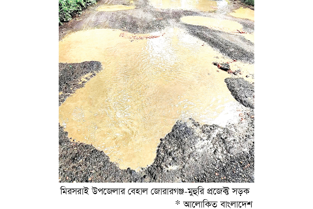 মিরসরাইয়ে সড়কের খানাখন্দে দুর্ভোগ