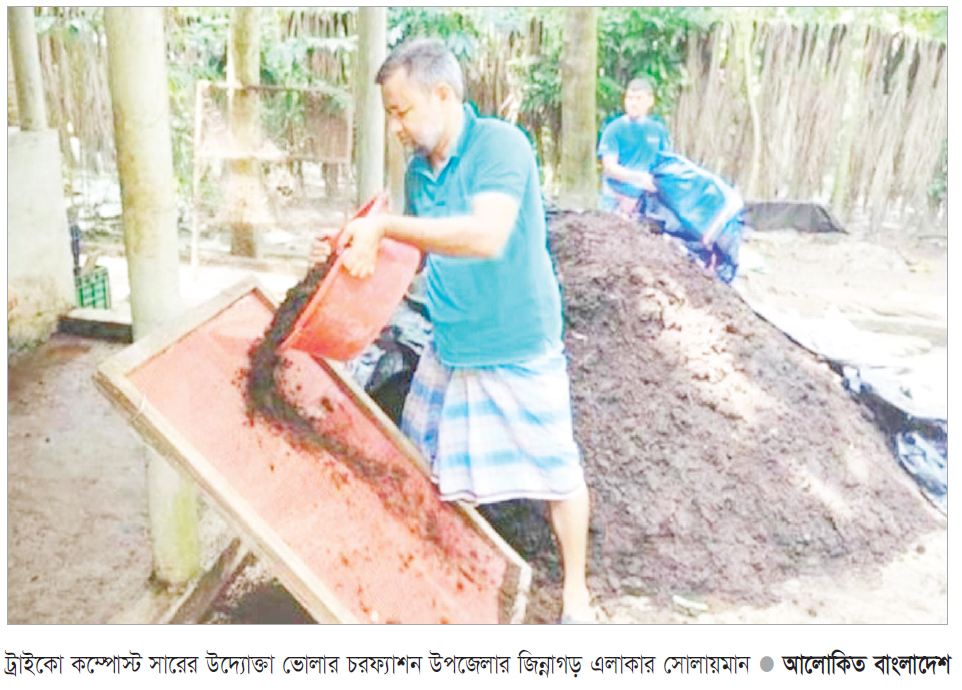 ভোলায় ট্রাইকো কম্পোস্ট সারে বাড়ছে জমির উর্বরতা ভোলায় ট্রাইকো কম্পোস্ট সারে বাড়ছে জমির উর্বরতা