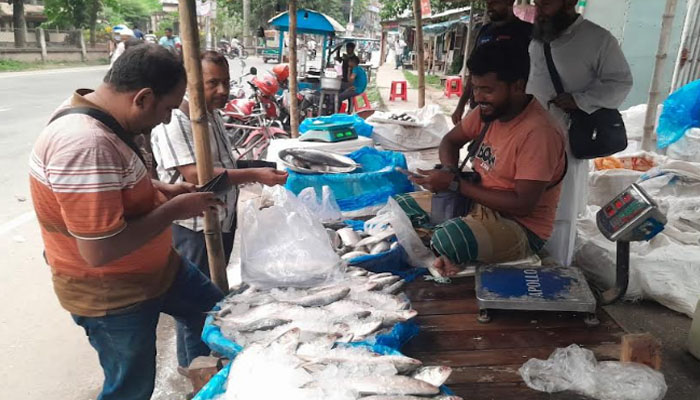 চুয়াডাঙ্গায় ইলিশের বাজার চড়া, দামে অস্বস্তি চুয়াডাঙ্গায় ইলিশের বাজার চড়া, দামে অস্বস্তি