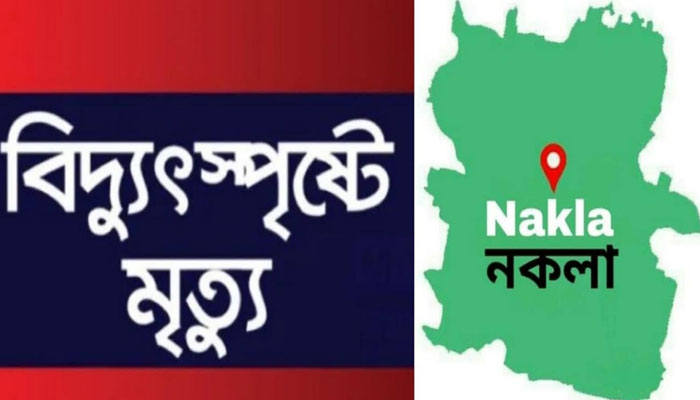 বাবার বাড়িতে বেড়াতে এসে বিদ্যুৎস্পৃষ্টে মেয়ের মৃত্যু