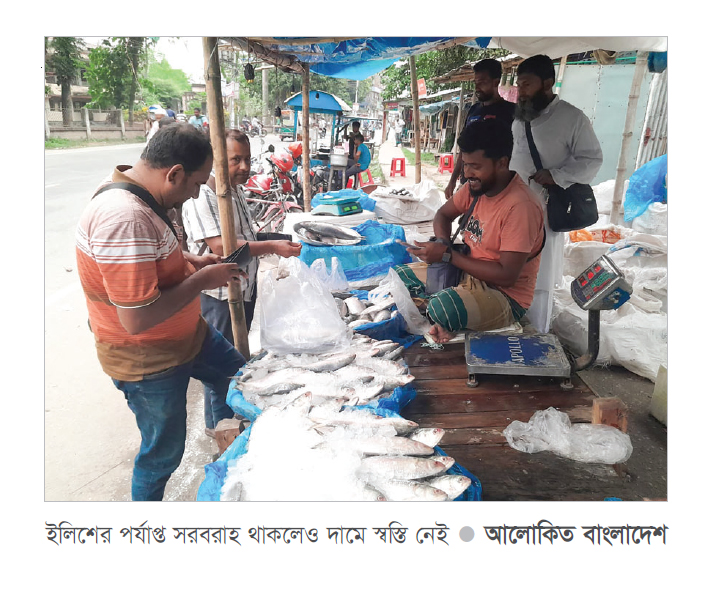 চুয়াডাঙ্গায় ইলিশের পর্যাপ্ত সরবরাহ থাকলেও দামে আগুন চুয়াডাঙ্গায় ইলিশের পর্যাপ্ত সরবরাহ থাকলেও দামে আগুন