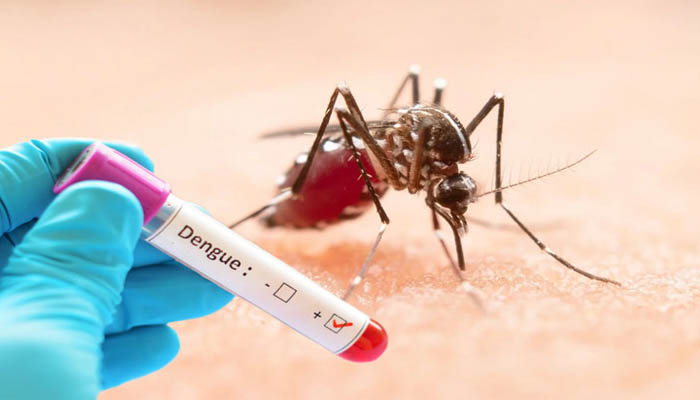 ডেঙ্গু রোগীদের চিকিৎসায় সরকারি হাসপাতালগুলোকে নতুন নির্দেশনা ডেঙ্গু রোগীদের চিকিৎসায় সরকারি হাসপাতালগুলোকে নতুন নির্দেশনা