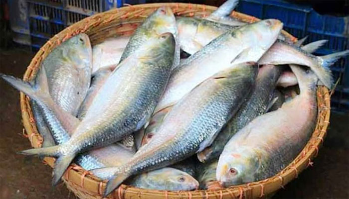 ৩৭ প্রতিষ্ঠানের অনুকূলে ভারতে ইলিশ রপ্তানির অনুমতি ৩৭ প্রতিষ্ঠানের অনুকূলে ভারতে ইলিশ রপ্তানির অনুমতি