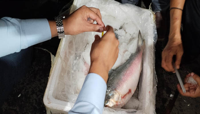 ভারতে গেল ৩৭.৪৬ মেট্রিকটন ইলিশের প্রথম চালান ভারতে গেল ৩৭.৪৬ মেট্রিকটন ইলিশের প্রথম চালান