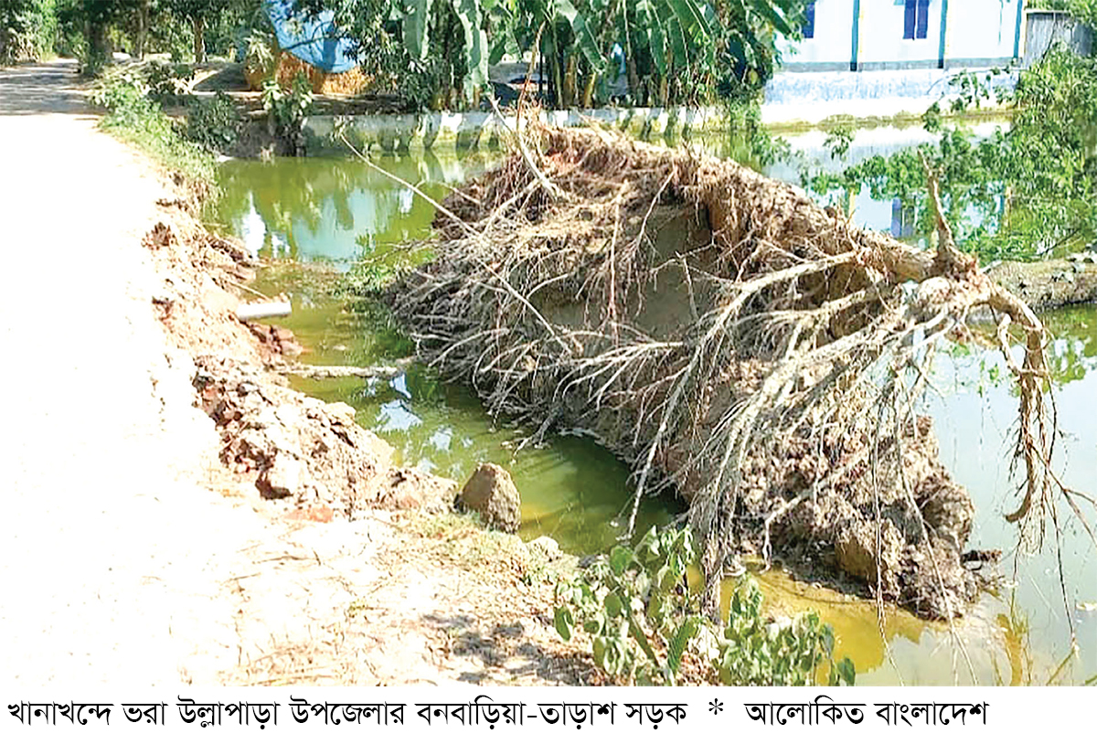 উল্লাপাড়ায় সড়কের বেহাল অবস্থায় দুর্ভোগ উল্লাপাড়ায় সড়কের বেহাল অবস্থায় দুর্ভোগ