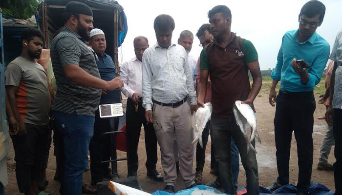 আখাউড়া স্থলবন্দর হয়ে ভারতে গেল ১২০০ কেজি ইলিশ আখাউড়া স্থলবন্দর হয়ে ভারতে গেল ১২০০ কেজি ইলিশ