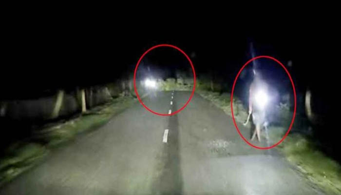 সড়কে গাছ ফেলে ডাকাতি চেষ্টা, ভিডিও ভাইরাল