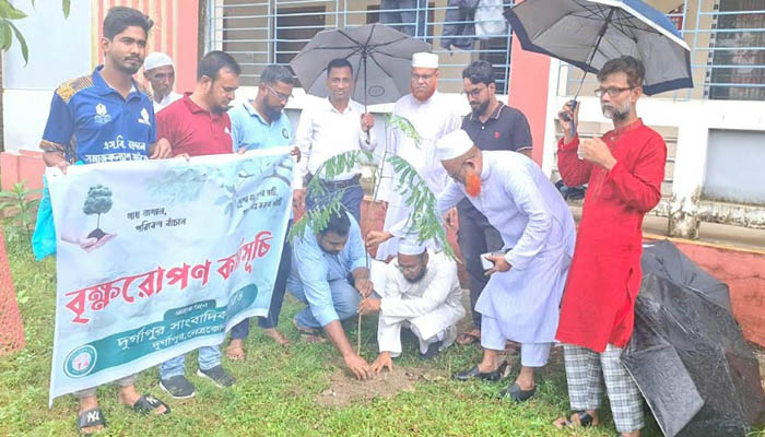 দুর্গাপুরে বিভিন্ন শিক্ষা প্রতিষ্ঠানে বৃক্ষরোপণ কর্মসূচি