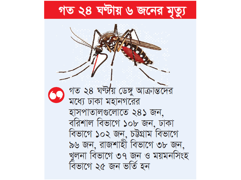 ফের চোখ রাঙাচ্ছে ডেঙ্গু