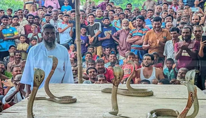 দামুড়হুদায় ঐতিহ্যবাহী সাপের ঝাঁপান খেলা দামুড়হুদায় ঐতিহ্যবাহী সাপের ঝাঁপান খেলা